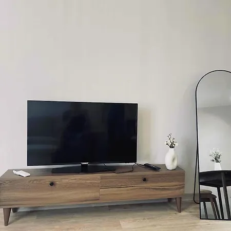 Olive Nest Modern And Cosy By Searent 索佐波尔